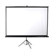 100 Inch Projector Screen Tripod Stand Home Pull Down Outdoor Screens Cinema 3D