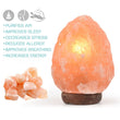 3-5 kg Himalayan Salt Lamp Rock Crystal Natural Light Dimmer Switch Cord Globes