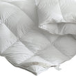 DreamZ 700GSM All Season Goose Down Feather Filling Duvet in Double Size