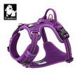 No Pull Harness Purple XS